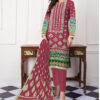 Anabiya Noor Lawn collection with Vail Dupata 93 - Image 2